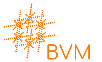 BVMax Logo